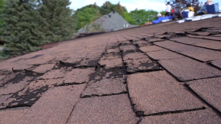 Best Flat Roofing  in Churchville, PA